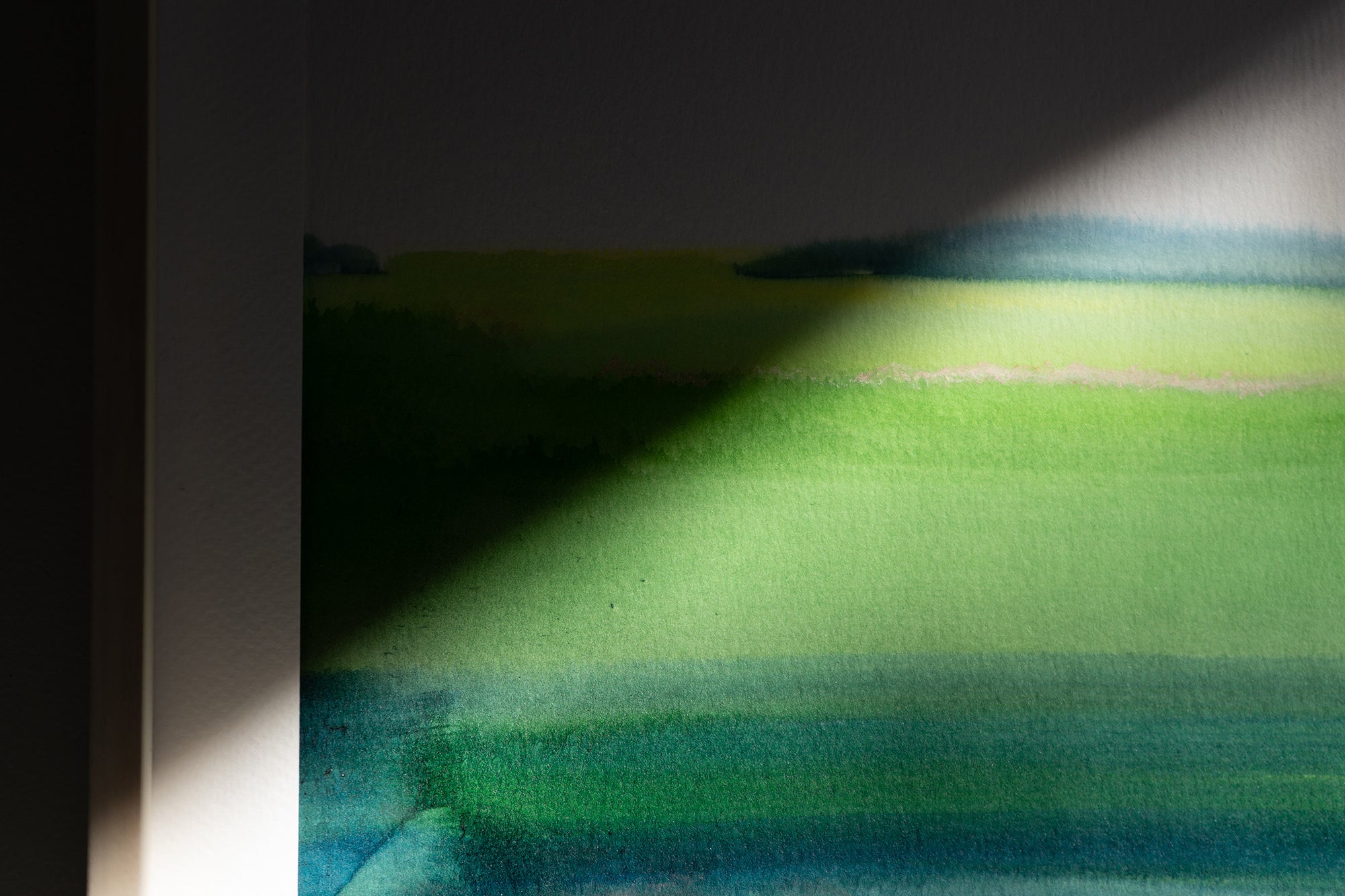 Summer Field